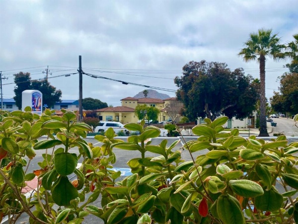 Masterpiece Hotel image 11